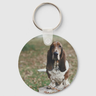 Porte-clés Basset Hound
