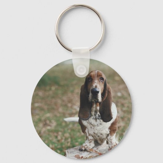 Porte-clés Basset Hound (Recto)