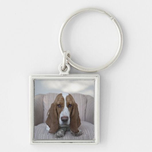 Porte-clés Basset Hound (Devant)