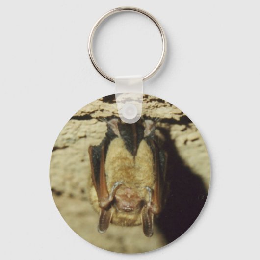 Porte-clés Bat (Recto)