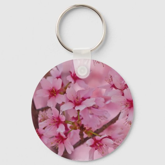 Porte-clés Bathed in Pink Japanese Cherry (Recto)