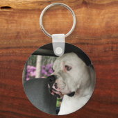 Porte-clés baver le Bulldog américain (Recto)