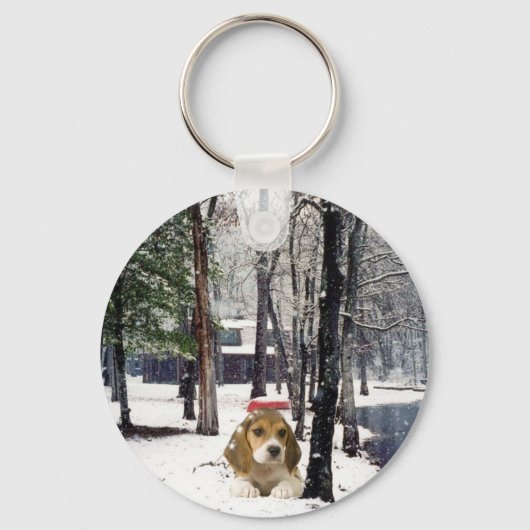 Porte-clés Beagle Dans Le Porte - clé De Neige (Recto)