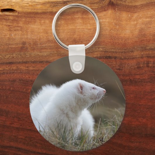 Porte-clés Beau Albino Ferret (Recto)