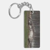 Porte-clés Beau Âne Reposé Après Un Bain De Sable (Devant gauche)