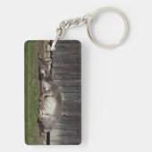 Porte-clés Beau Âne Reposé Après Un Bain De Sable (Dos)