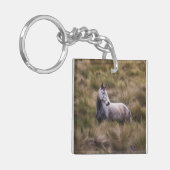 Porte-clés Beau Cheval gris coloré (Devant gauche)
