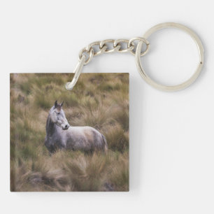 Porte-clés Beau Cheval gris coloré