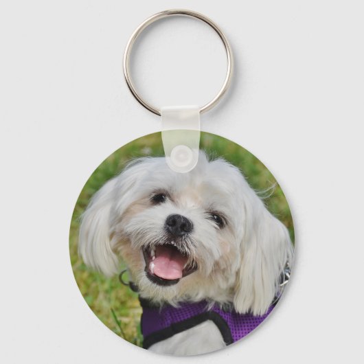 Porte-clés Beau Fluffy Blanc Maltais Chien Chien Chien (Recto)