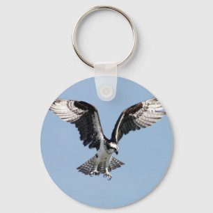 Porte-clés Beau Osprey à la recherche de proies