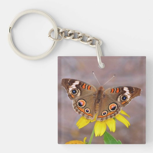 Porte-clés Beau papillon sur Fleur Jaune (Devant)