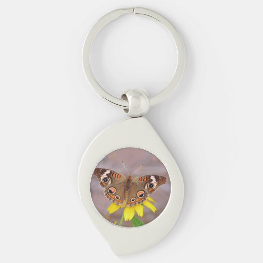 Porte-clés Beau papillon sur fleur jaune (Devant)