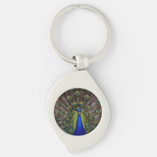 Porte-clés Beau Peacock