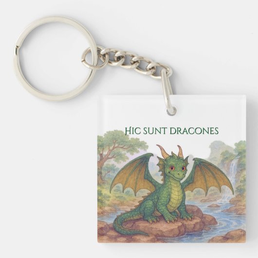 Porte-clés Beau petit dragon vert (Devant)