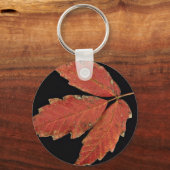 Porte-clés Beau Poison feuilles ivoiriens (Recto)