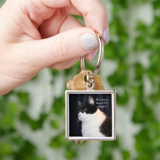 Porte-clés Beau Porte - clé de chats (main)