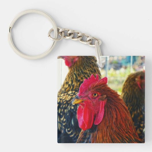 Porte-clés Beau Rooster (Devant)