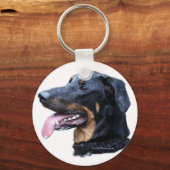 Porte-clés beauceron arlequin (Recto)