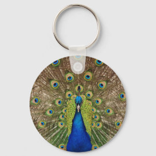 Porte-clés Beautiful peacock and tail feathers print