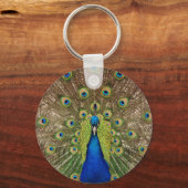 Porte-clés Beautiful peacock and tail feathers print (Recto)