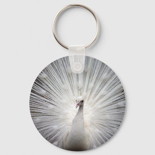 Porte-clés Beautiful white peacock (Recto)