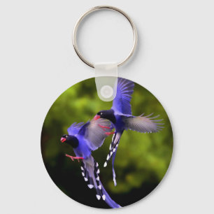 Porte-clés Beaux oiseaux violets en Porte - clé de vol