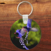 Porte-clés Beaux oiseaux violets en Porte - clé de vol (Recto)
