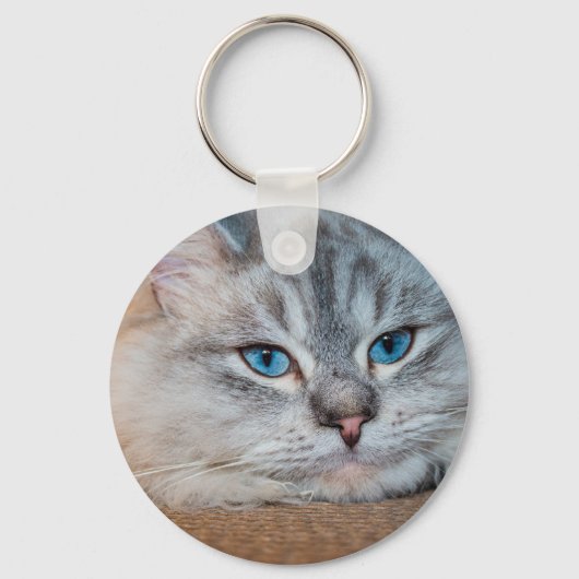 Porte-clés Beaux yeux bleu chat (Recto)