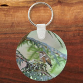 Porte-clés Bébé Colibri Sticking Out Sa Langue (Recto)