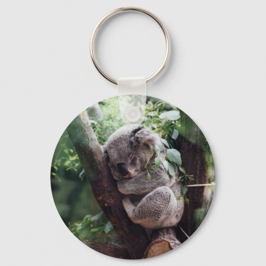 Porte-clés Bébé dormant Koala (Recto)