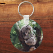 Porte-clés Bébé dormant Koala (Recto)