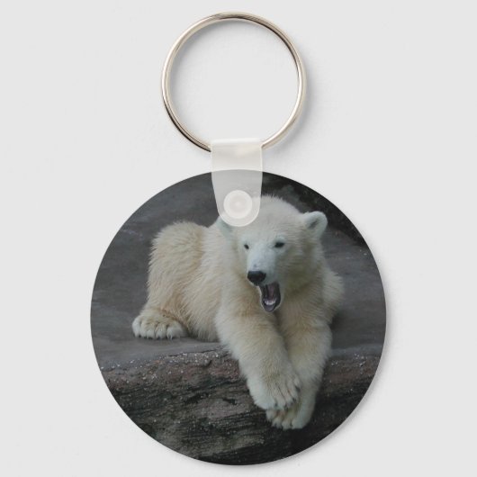 Porte-clés Bébé d'ours polaire (Recto)