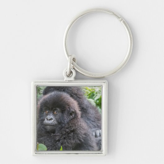 Porte-clés Bébé gorille des montagnes (Devant)