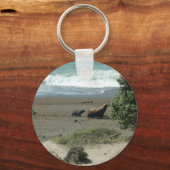 Porte-clés Bébé lion de mer et mère (Recto)