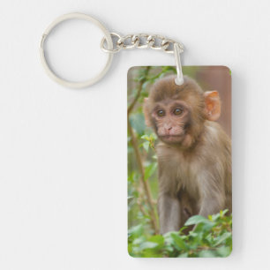 Porte-clés Bébé Macaque Rhésus, Temple du Singe, Jaipur