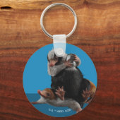 Porte-clés Bébé Nifflers Trouve Un Prix (Recto)