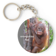 Bébé Orangutan dans l'arbre