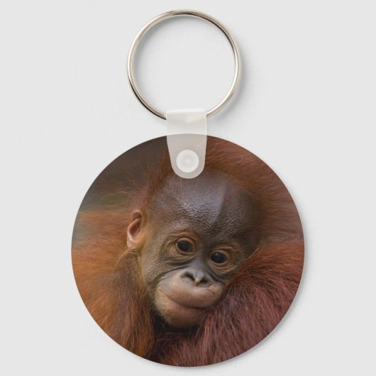 Porte-clés bébé Orangutang (Recto)