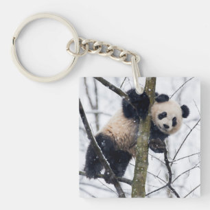 Porte-clés Bébé Panda dans l'arbre