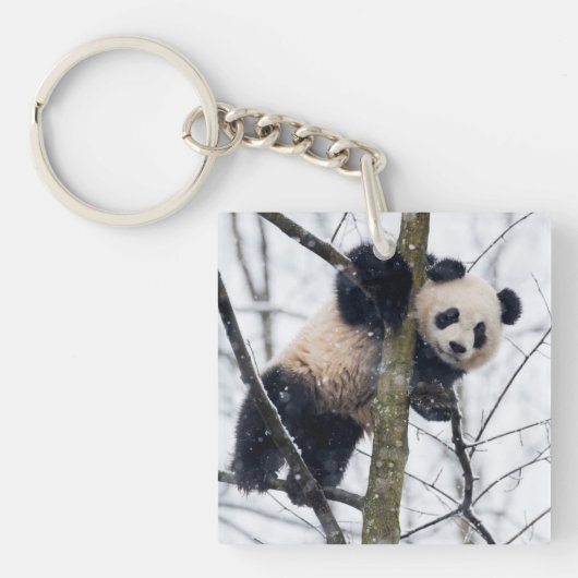 Porte-clés Bébé Panda dans l'arbre (Devant)