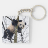 Porte-clés Bébé Panda dans l'arbre (Dos)
