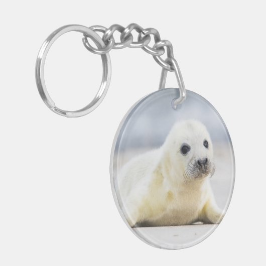 Porte-clés Bébé phoque des images | de Getty (Devant gauche)
