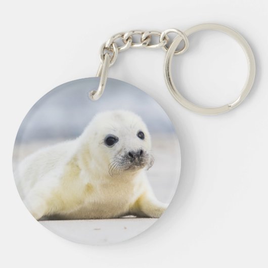 Porte-clés Bébé phoque des images | de Getty (Dos)