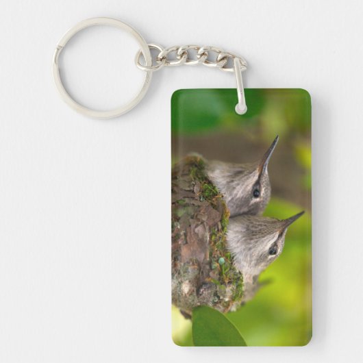 Porte-clés Bébés colibris (Devant)