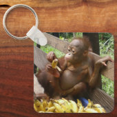 Porte-clés Bébés d'Orangoutan (Recto)