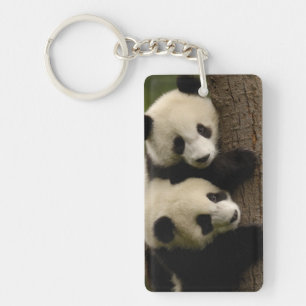 Porte-clés Bébés pandas géants (Ailuropoda melanoleuca) 2