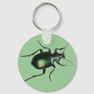 Porte-clés Beetle