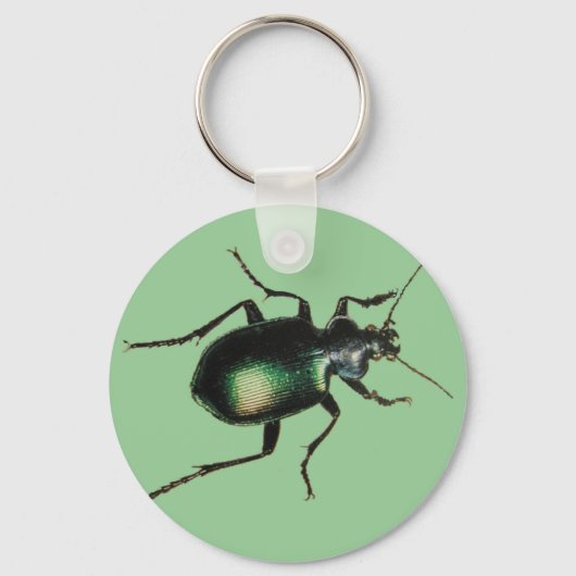 Porte-clés Beetle (Recto)