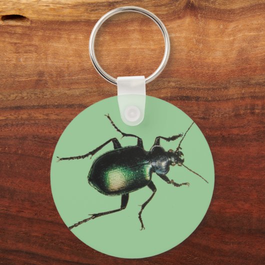 Porte-clés Beetle (Recto)