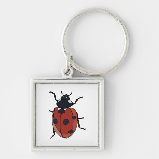 Porte-clés Beetles Insectes Ladybug Beetles (Devant)